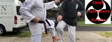 Traditional karate for all the family