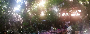 Adelaide secret garden in the heart of the city
