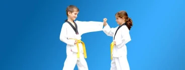 Pinnacle Martial Arts in Marrickville Inner West Sydney for kids-teens-adults