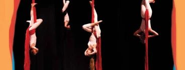 RUCCIS Performance Aerial class at Burrinja Circus Festival - Photo by Tania Pendlebury photography