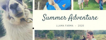 Llama Farma Deloraine 1