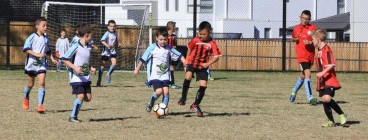 HSFC Junior Football
