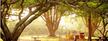 Mons grounds