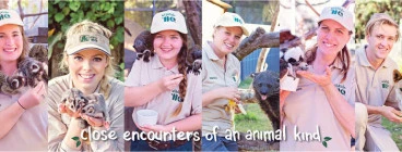 Close encounters of an animal kind at Wildlife HQ