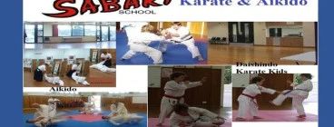 Traditional Japanese martial arts for all the family