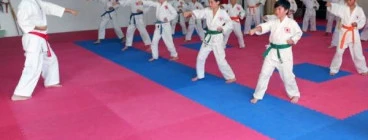 Chito-Ryu Karate-Do