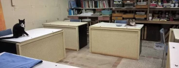 inside my studio