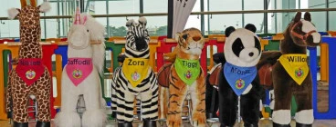 Zoo on Wheels Prahran East 1