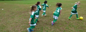 Mini Roos