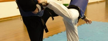 Forest Martial Arts Terrey Hills 1