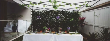 Enchanted Forest