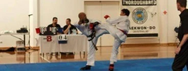 Matts Martial Arts- strive hapkido Ravenhall 1