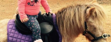 Lily on Bonnie at 16 months great for all ages