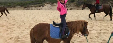 Brandy (School Pony) at the Beach