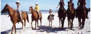 Beach rides