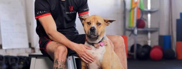 Dog Friendly Gym Newcaslte