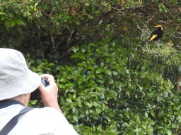 Birdwatching is much more than ticking off a list