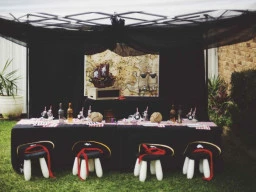My Top 10 Party Hints and Tips..