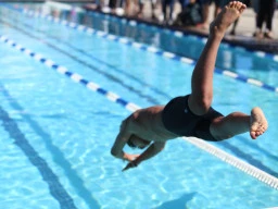 Swimming Race start