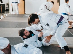 Martial Arts Lessons