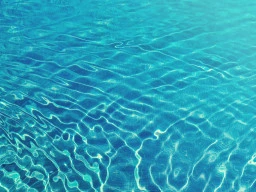 Toddler Swimming Pool