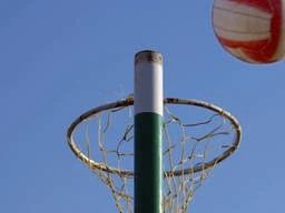 Netball