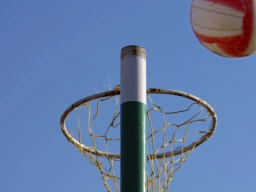 Netball