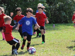 Soccer Games at Home