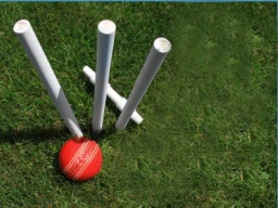 Game of Cricket!