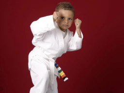 Taekwondo