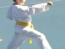 Taekwondo Practice