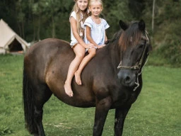 What to Expect in Your Child's First Horse Riding Lesson