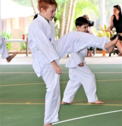 FREE TRIAL WEEK ! Cornubia Taekwondo Schools