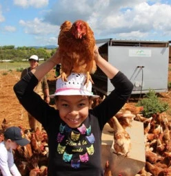 Farm Kids School Holiday program Byron Bay Play School Holiday Activities