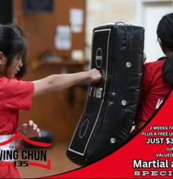 2 Week Special Castle Hill Wing Chun Schools