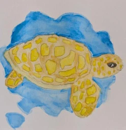 July 2025 School Holiday Fun Constitution Hill Art Classes &amp; Lessons