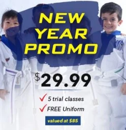 New Year Starter Pack Special Camden Taekwondo Classes &amp; Lessons