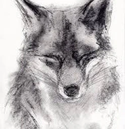 CHARCOAL ANIMALS SCHOOL HOLIDAYS Mornington Art Classes &amp; Lessons