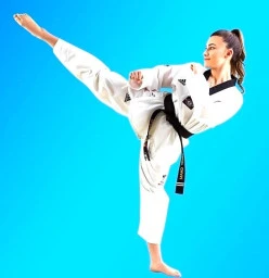 Experience the pinnacle Taekwondo Martial Arts style Chester Hill Karate Schools
