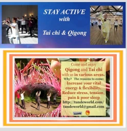 Practice Tai chi and Qigong at Tunde-World in 2023 Lawson Tai Chi Academies