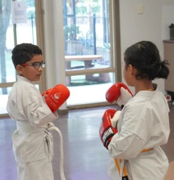 Limited time offer Auburn Karate Classes &amp; Lessons