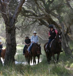 1800 Trail Rides Neergabby 1