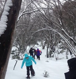 Adventure Guides Australia Beechworth 1