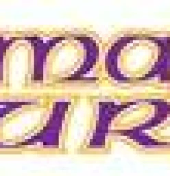 1st choice Melbourne magicians - Magic Surge Melbourne CBD 1
