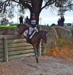 Ellison Park Riding School Baldivis 1