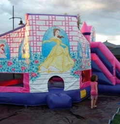 Disney Princes Combo jumping Castle