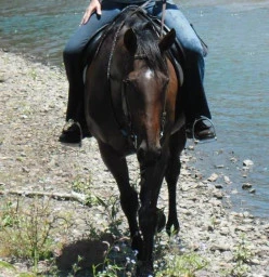 Trail Leader Michele