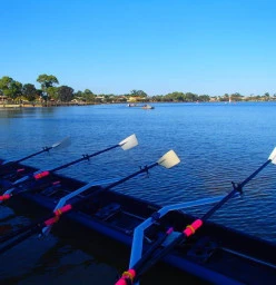 Champion Lakes Boating Club - Rowing Division Champion Lakes 1
