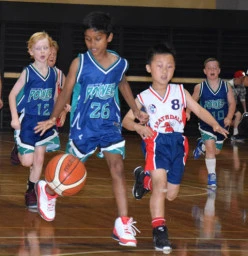 Junior Domestic