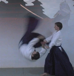 Aiki Ten Shin Sho Kai Springfield Central 1